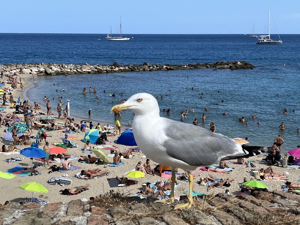 Plage de la Gravette