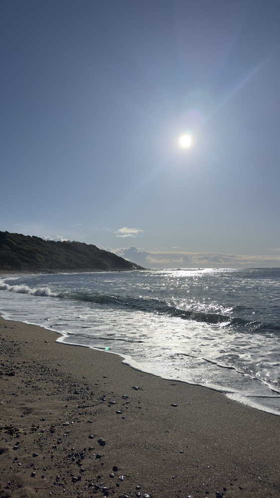 Plage de Lafitenia