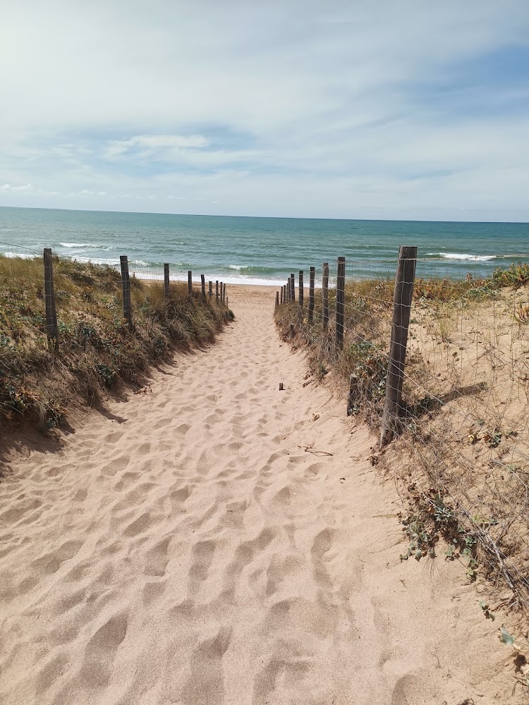 Plage des Dunes