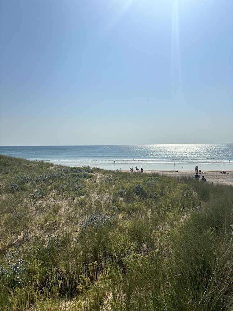 Plage naturiste Du petit pont