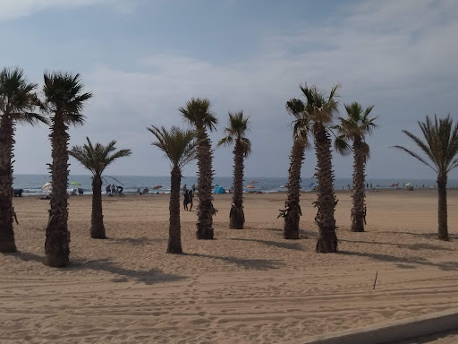 Plage des Terrasses de la Mer