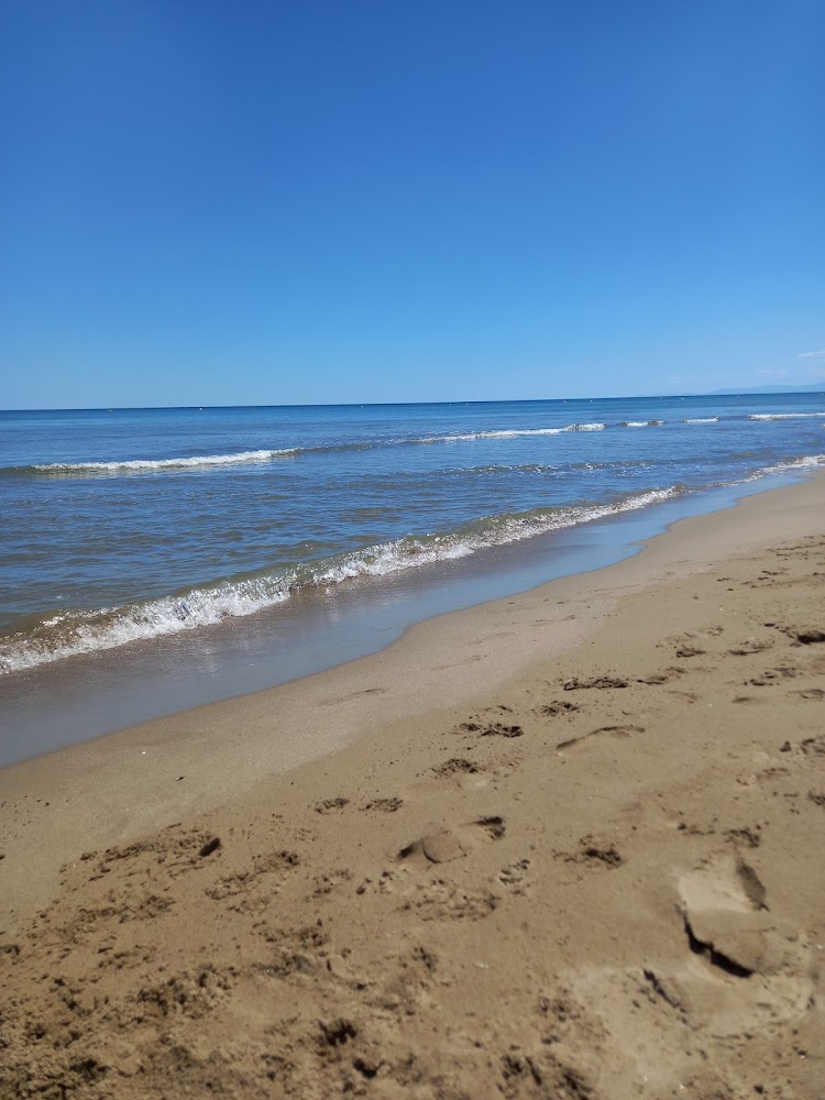 Plage du Créneau Naturel