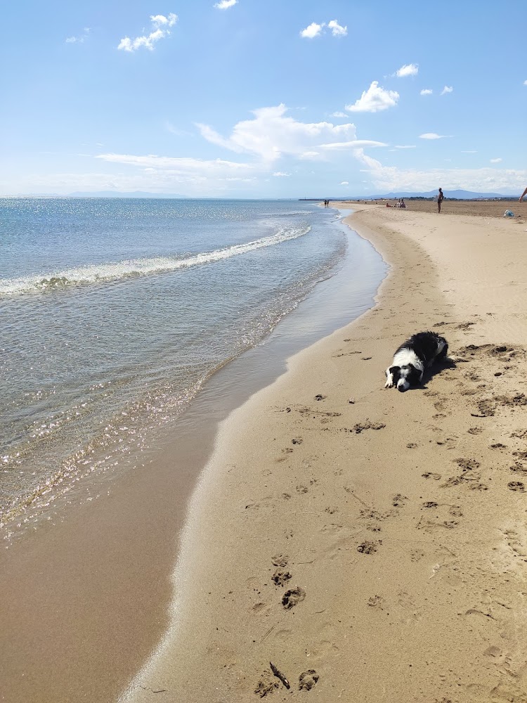Plage du Créneau Naturel