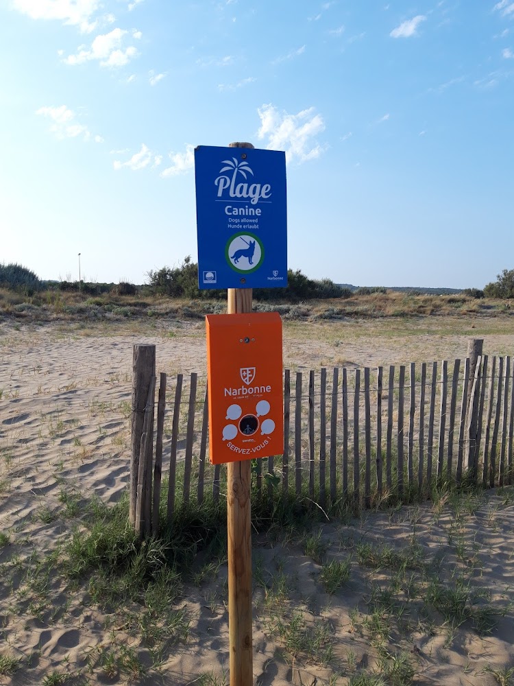 Plage du Créneau Naturel