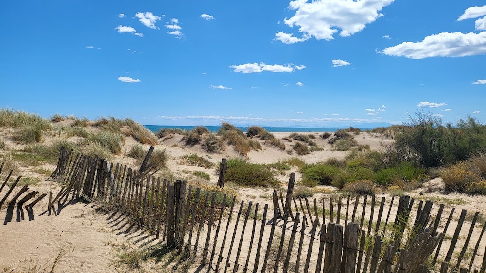 Plage du Créneau Naturel