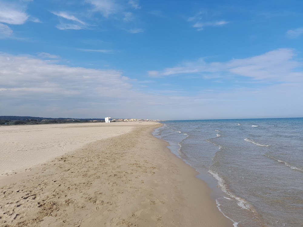 Plage du Créneau Naturel