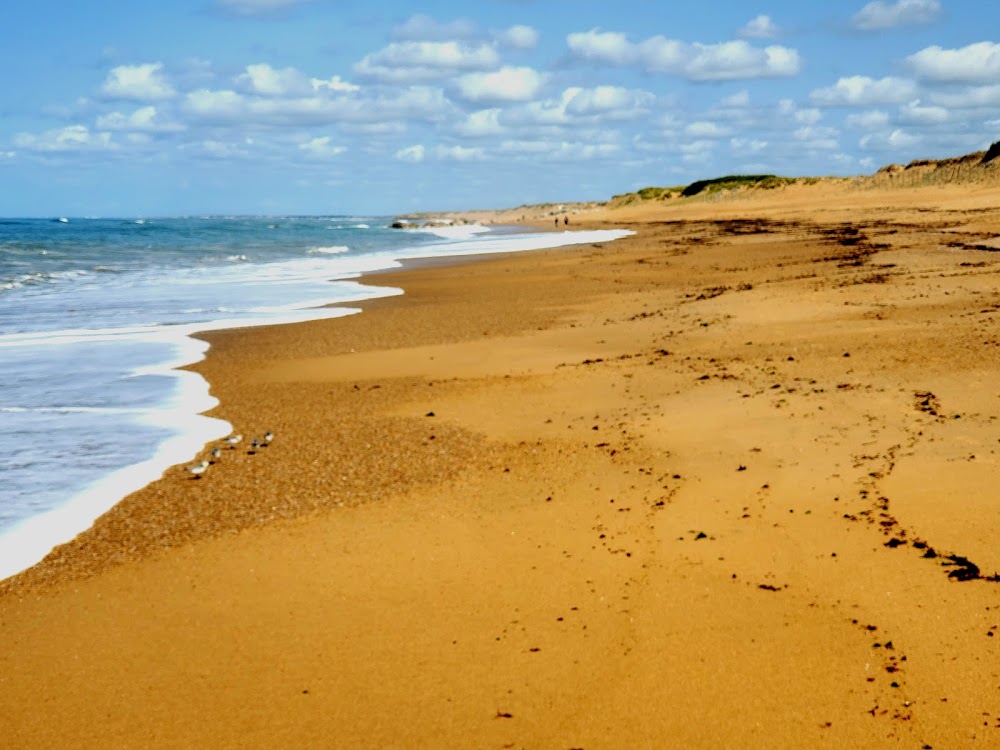 Plage de l'Aubraie