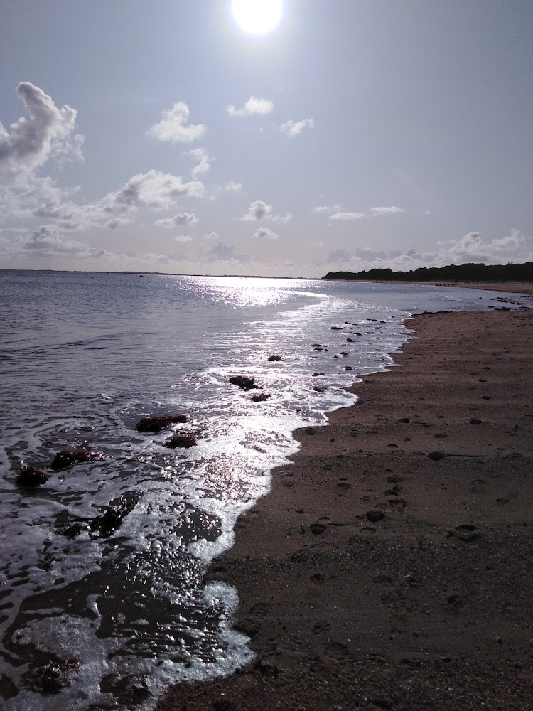 Plage des Sableaux