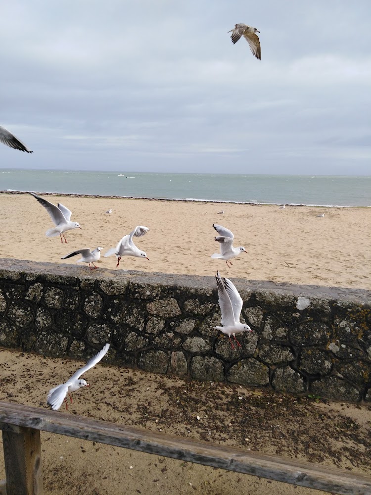 Plage des Sableaux