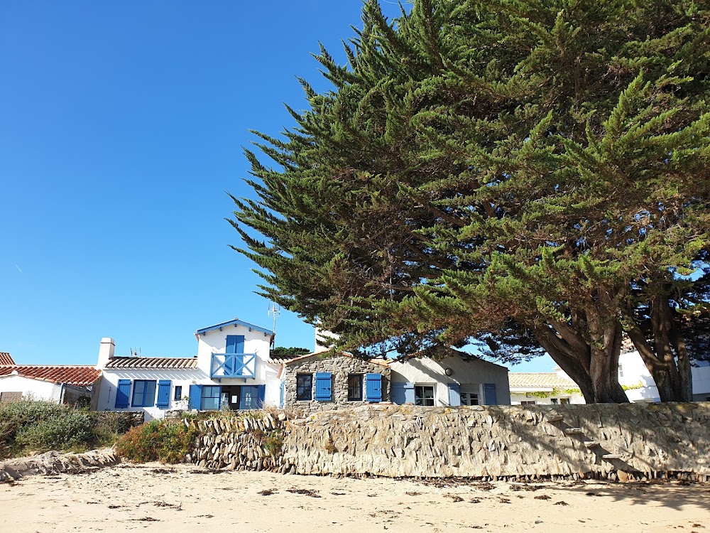 Plage du Vieil