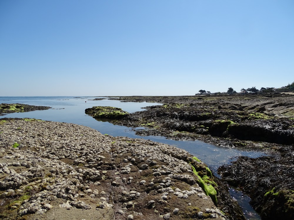 Plage du Vieil