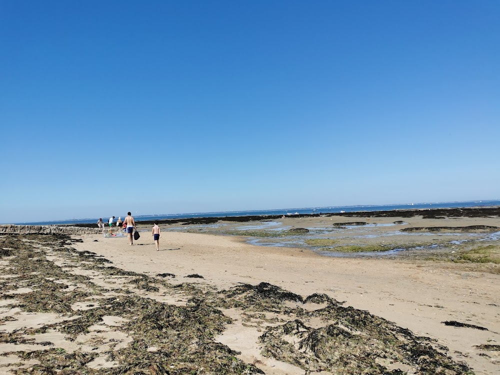 Plage du Vieil