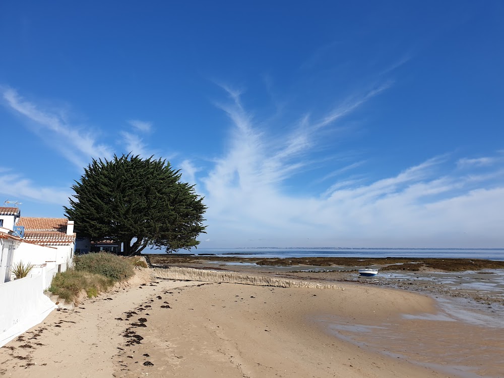 Plage du Vieil