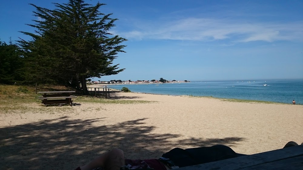 Plage du Vieil