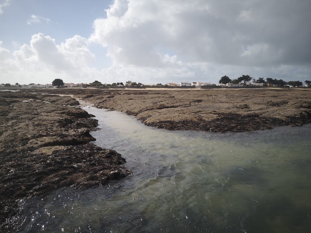 Plage du Vieil