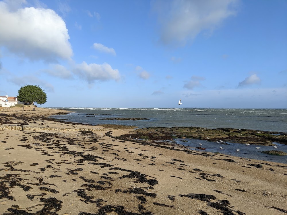 Plage du Vieil
