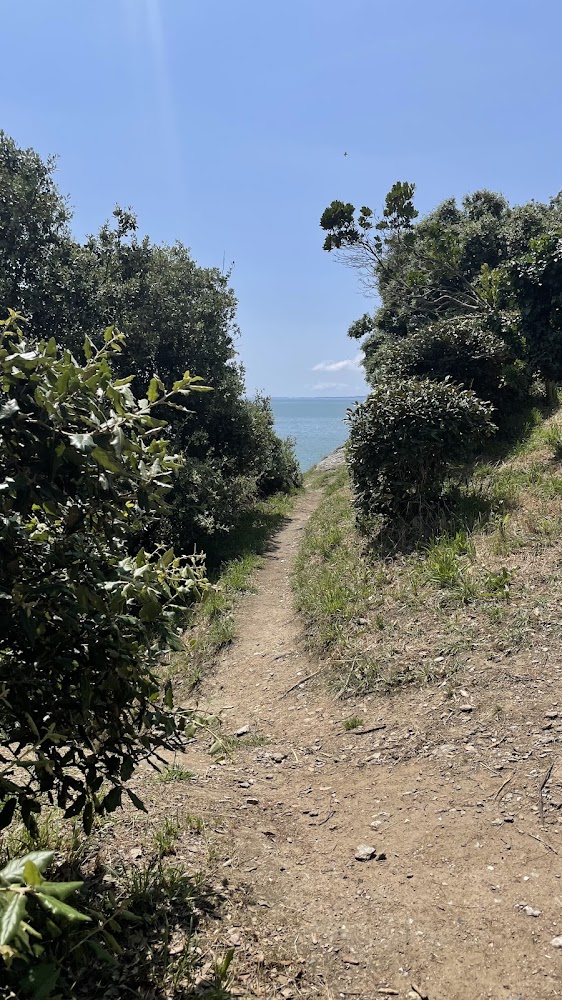 Plage du Porteau
