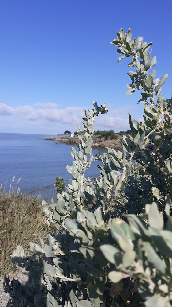 Plage de la fontaine aux Bretons