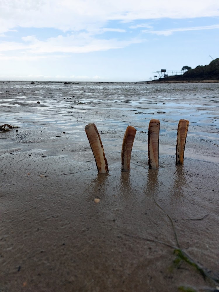 Plage de la fontaine aux Bretons