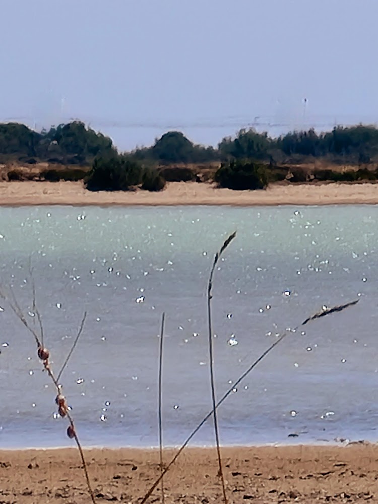 Plage des Montilles
