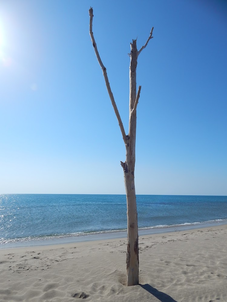 Plage des Montilles