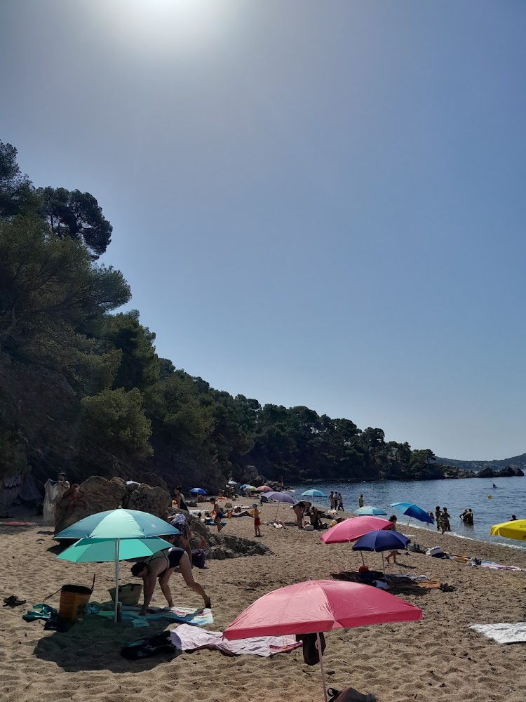 Plage du Monaco