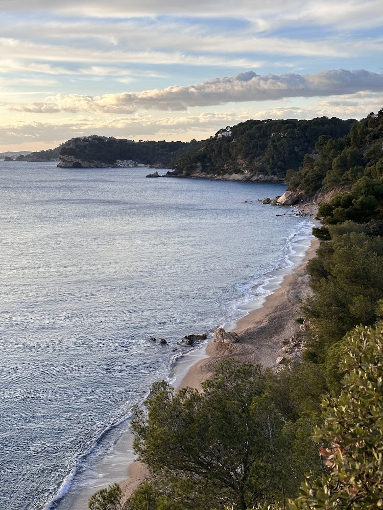Plage du Monaco