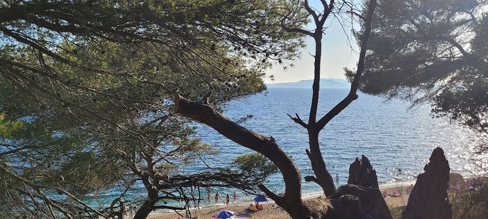 Plage du Monaco