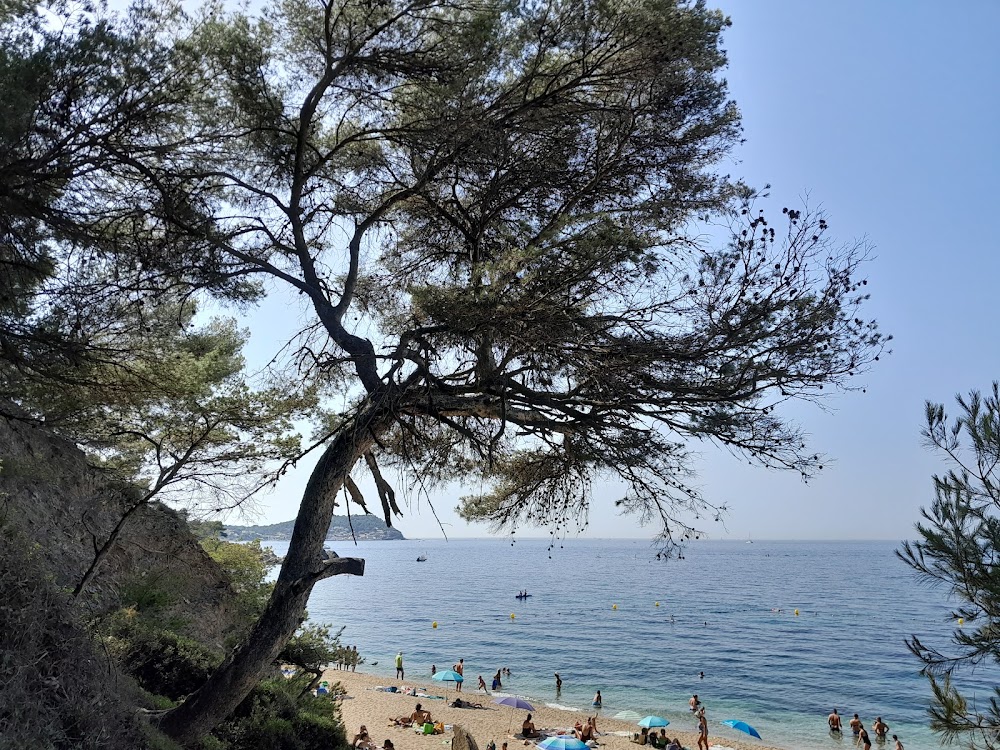 Plage du Monaco