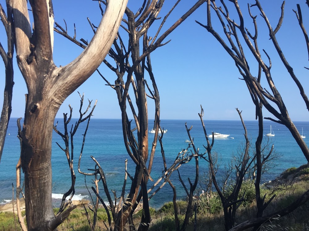 Plage de l'amour