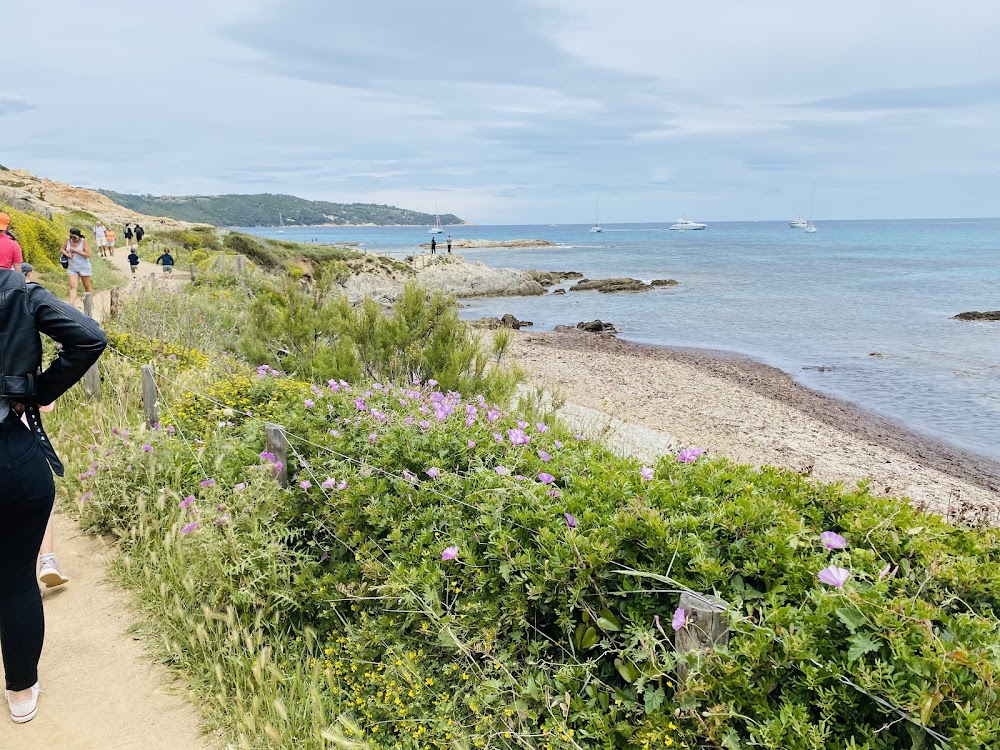 Plage de la Douane
