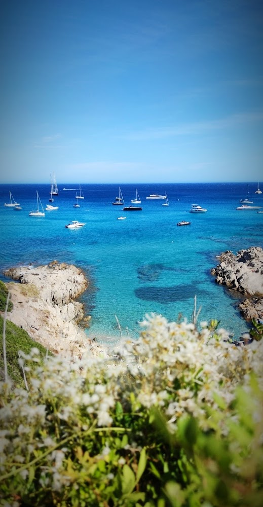 Plage de la Douane