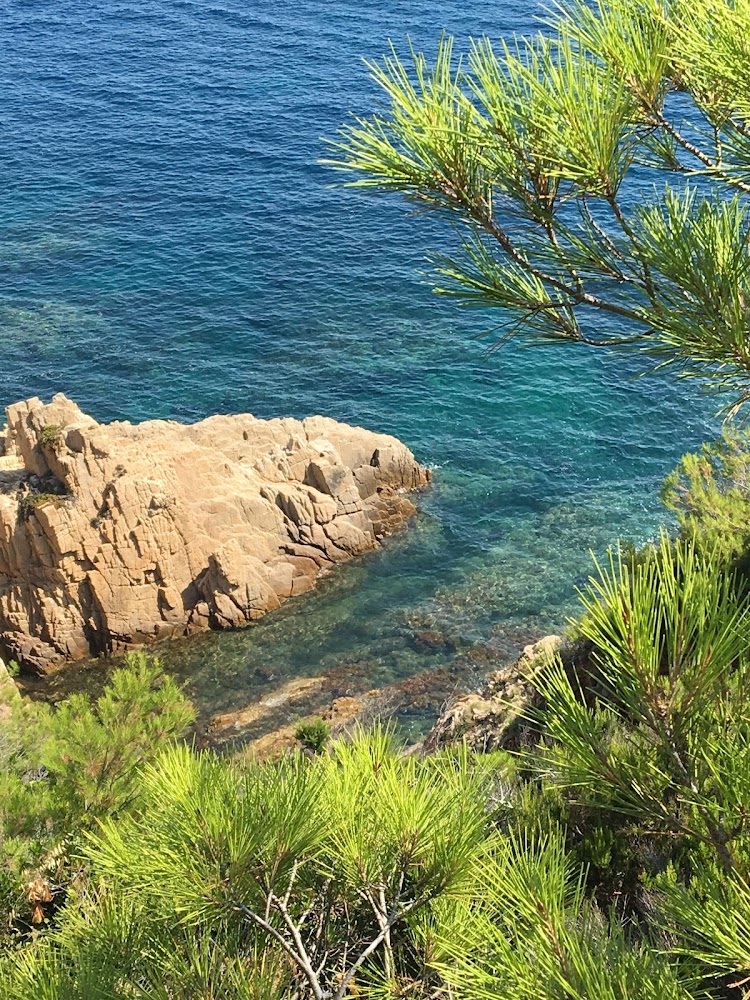 Plage de Camarat