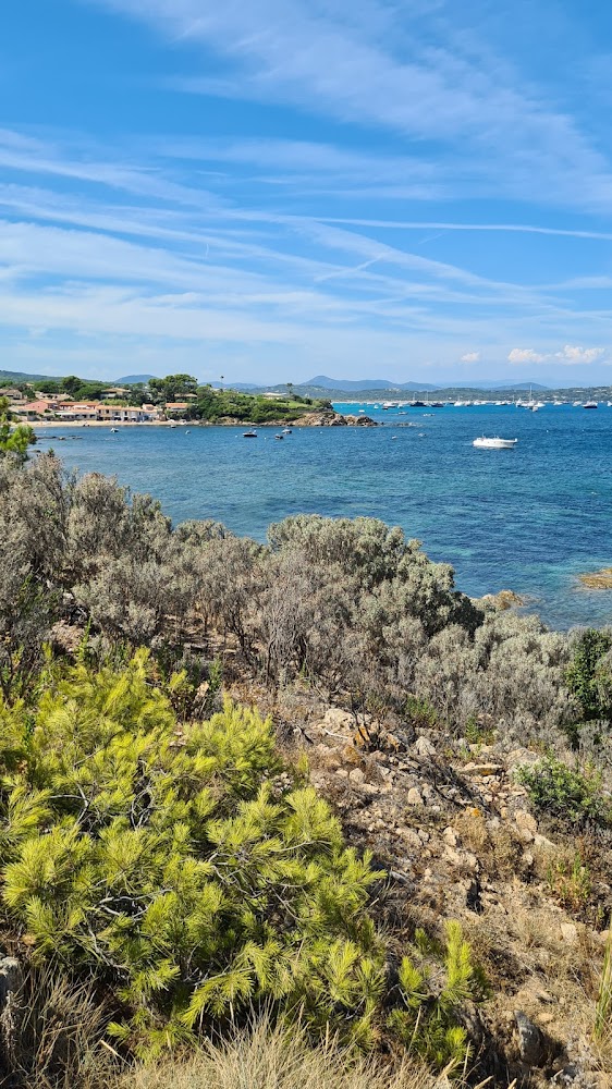 Plage de Camarat