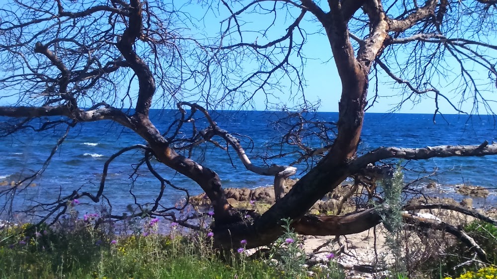 plage de la Quessine