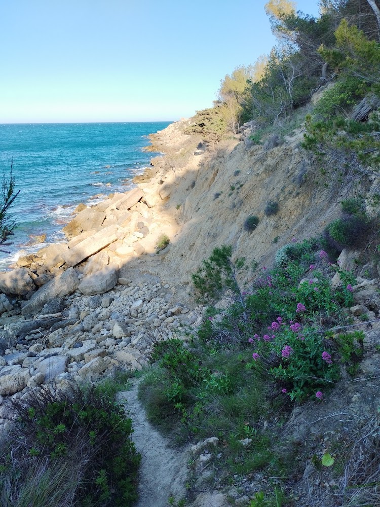 Plage de la Franqui