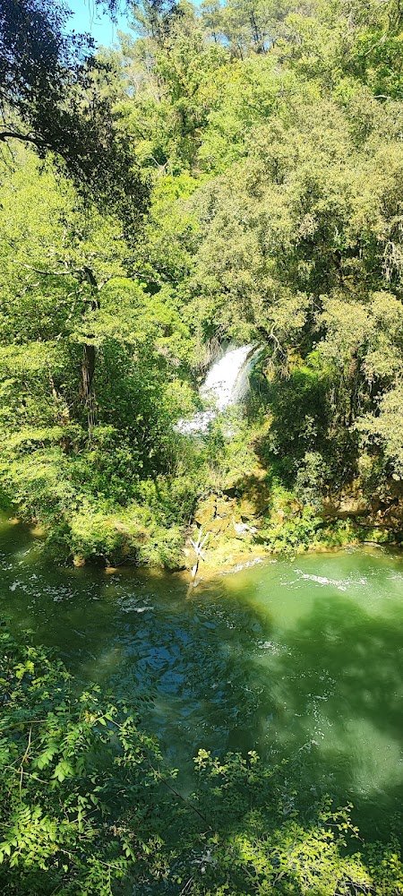 Mourillon