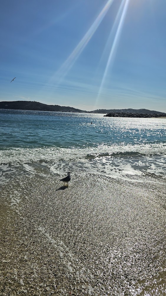 Mourillon