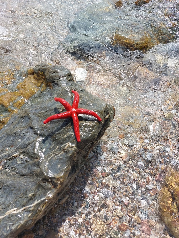 Anse de Méjean
