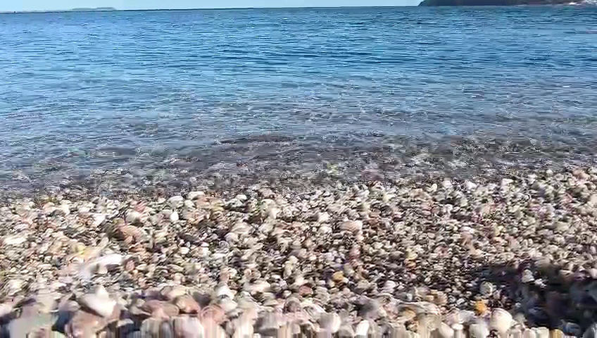 Plage Naturiste