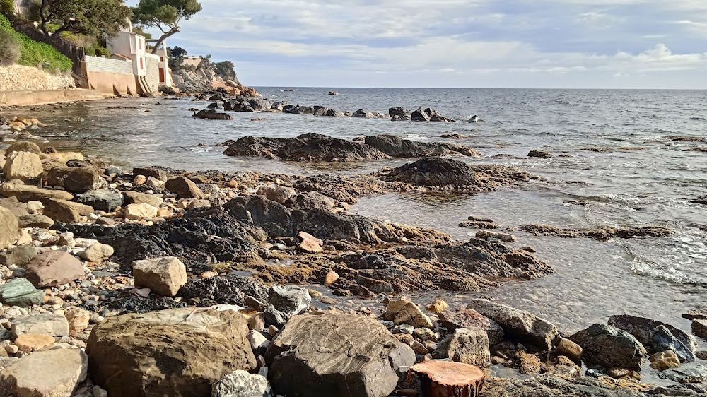 Plage du Fort Cap Brun