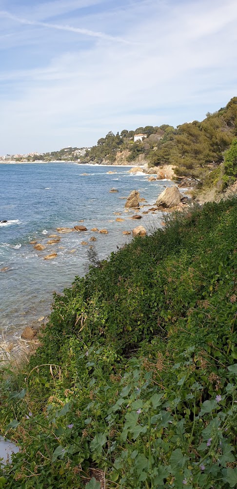 Plage du Fort Cap Brun