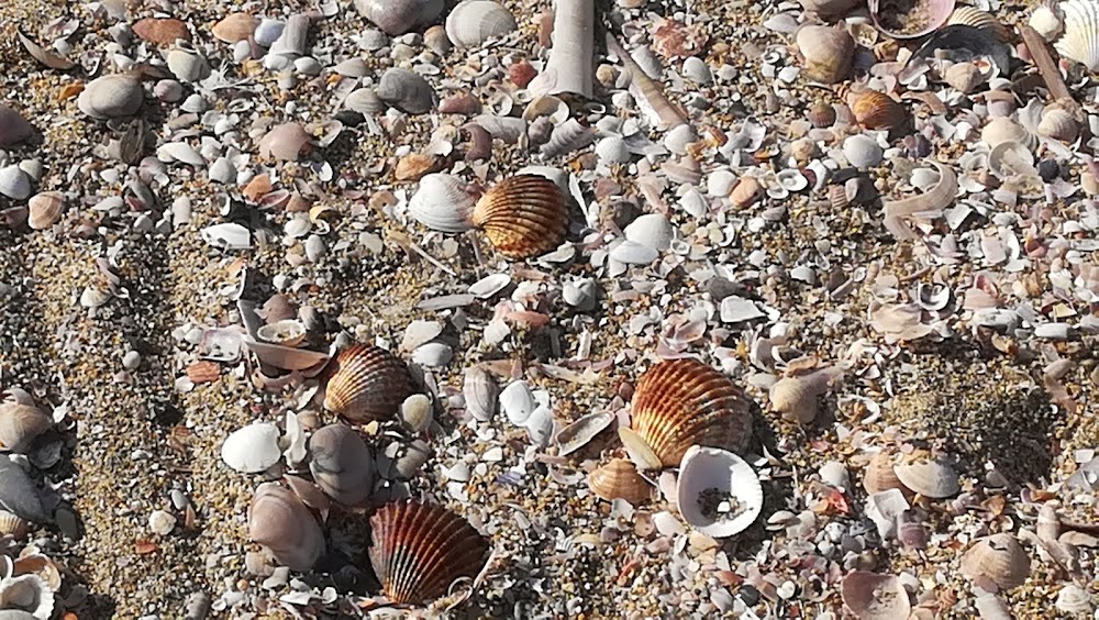 Plage des Coussoules