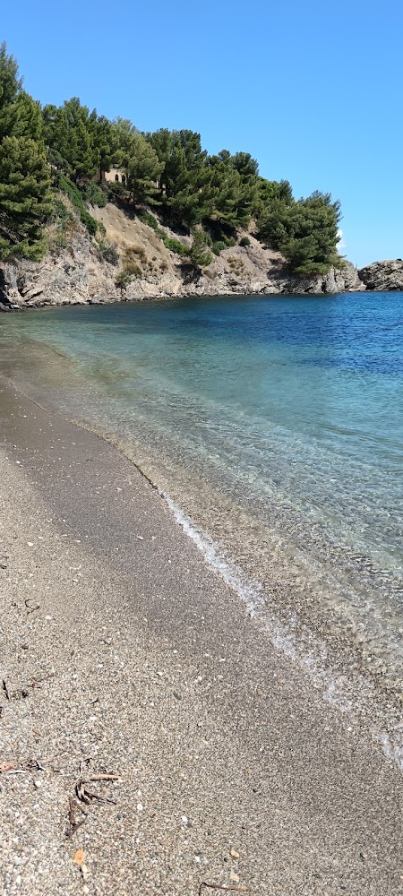 Plage De Pipady