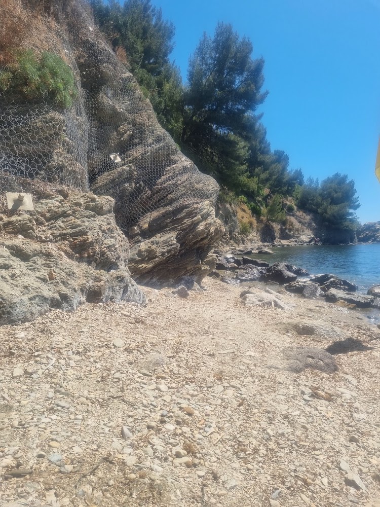 Plage De Pipady