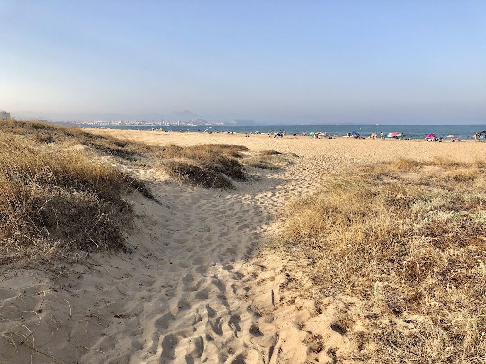 Dunas y playas de L'Altet