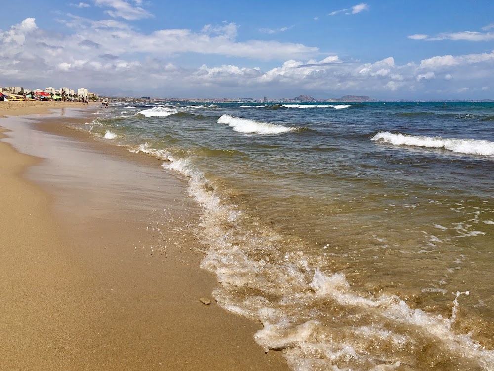 Dunas y playas de L'Altet