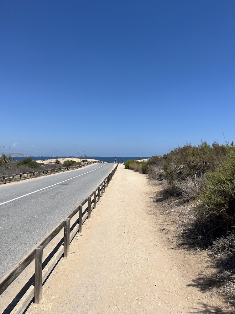 Dunas y playas de L'Altet