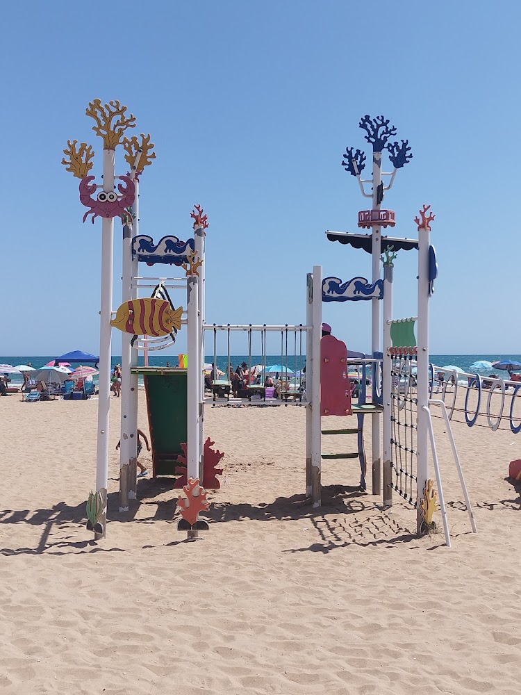 Dunas y playas de L'Altet