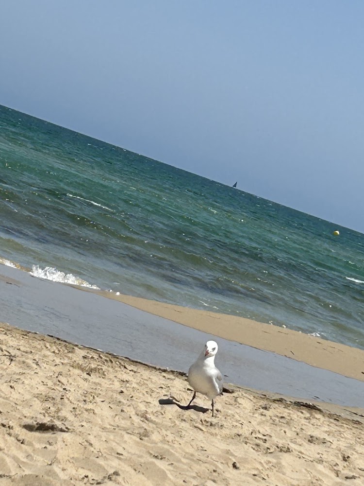 Dunas y playas de L'Altet